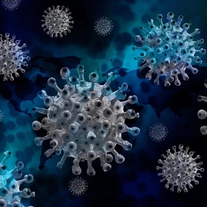 Itt az új koronavírus, mutatjuk, mit lehet tudni róla