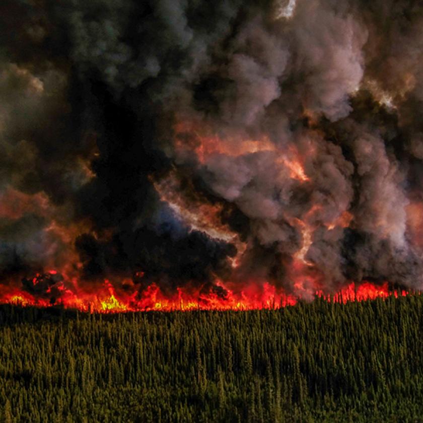 Rekordmennyiségű szén-dioxid került a légkörbe az erdőtüzek miatt 