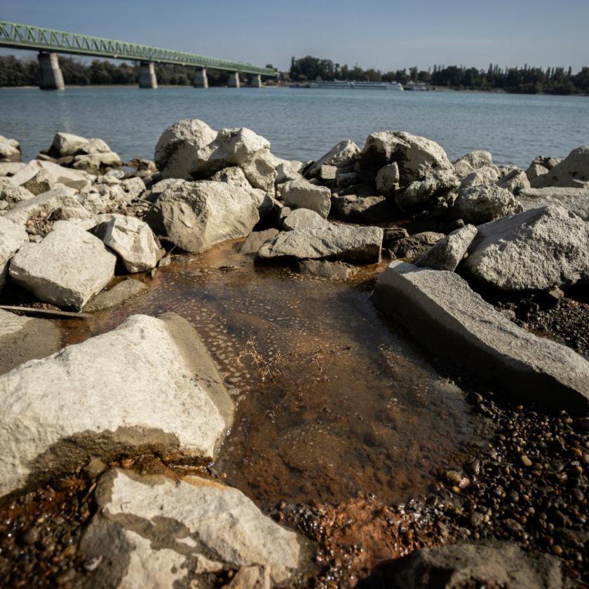 A határértékeket ezerszeresen is meghaladó rákkeltő anyagokat talált a Greenpeace a Duna-parton 