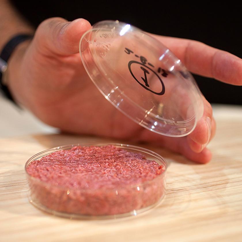 Olaszországban betiltották a mesterséges hús gyártását és kereskedelmét