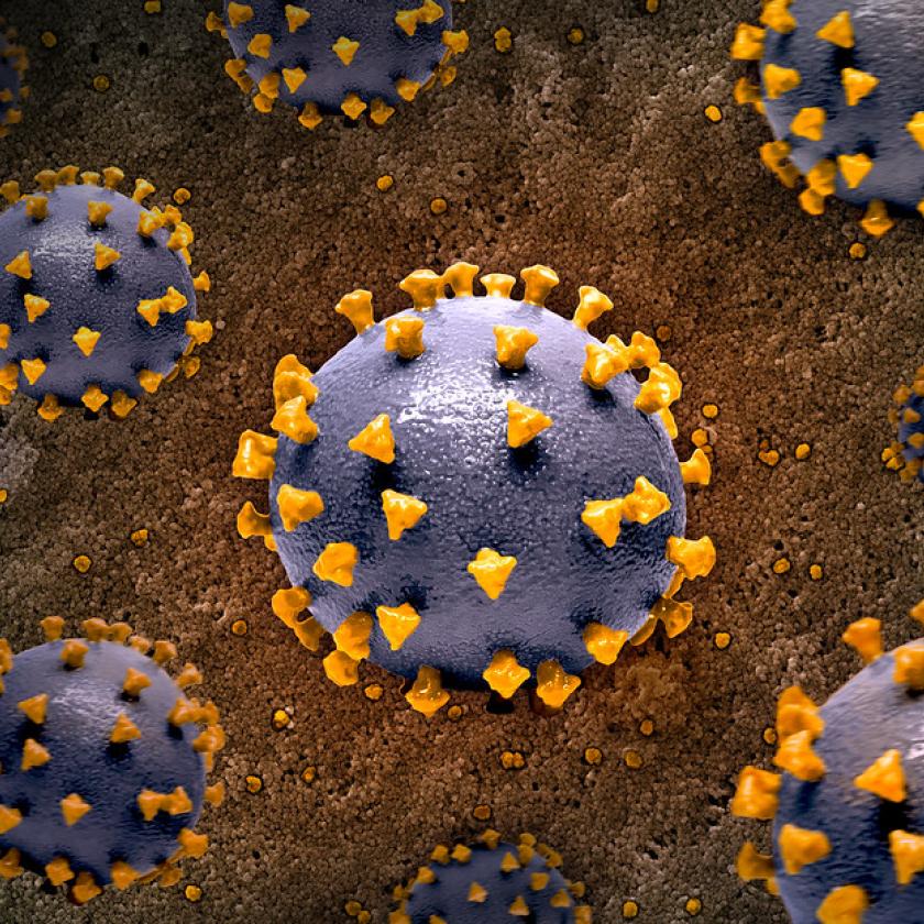 Tombol a koronavírus új változata, bejelentést tett róla a WHO