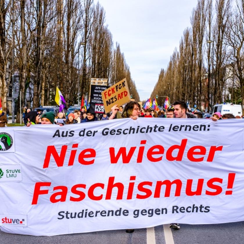 Megrendült az AfD támogatottsága a németországi tüntetések hatására 
