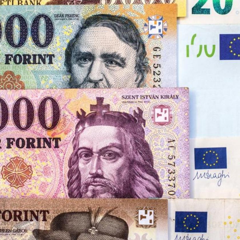 „Az, hogy nem vezették be nálunk az eurót az elmúlt 20 év egyik legnagyobb gazdaságpolitikai hibája” 