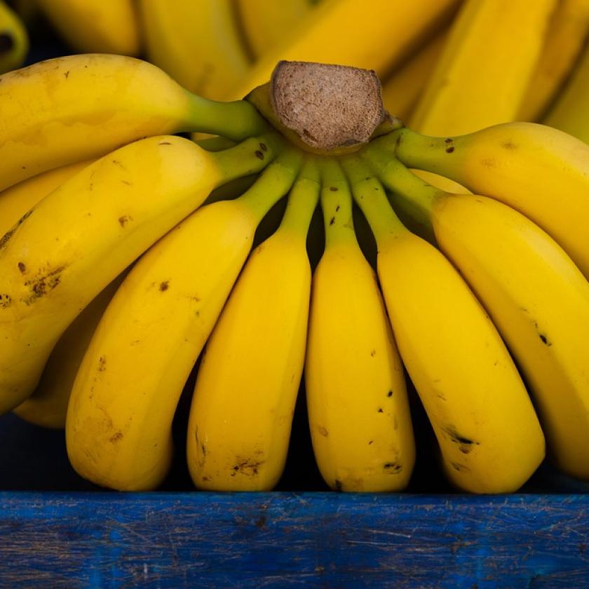 Egyre gyanúsabbak a banánszállítmányok, a hatóságok éberen figyelik 