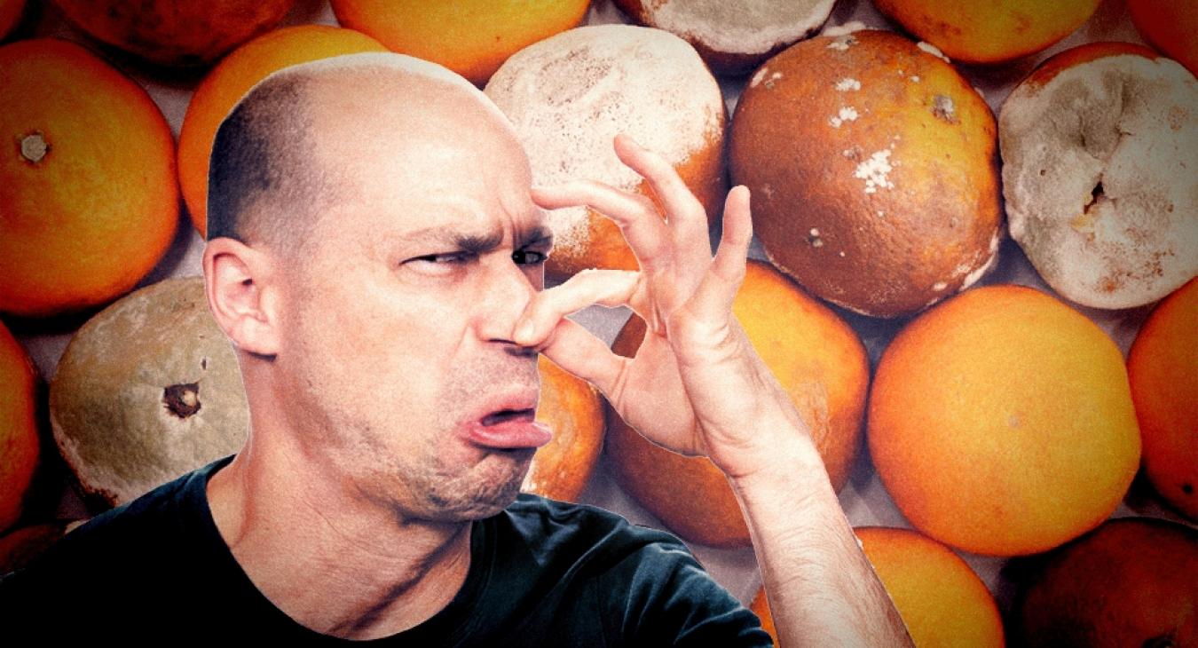 Gál Mária: Bűzlő narancs