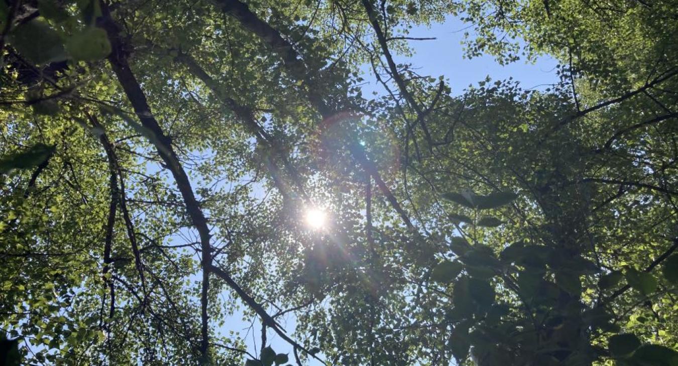 Az átlagosnál hűvösebb idő lesz, de legalább átveszi a főszerepet a napsütés