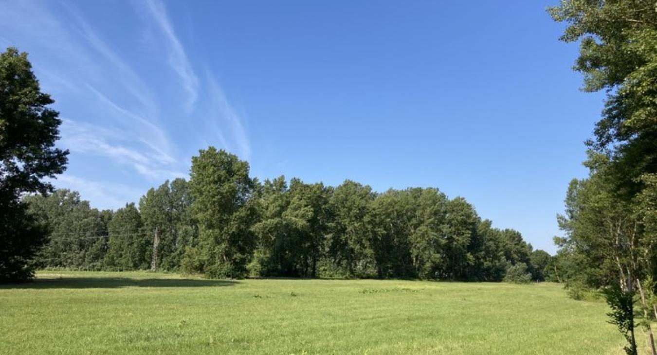 Sok lesz a napsütés, viszont nem marad mindenhol szárazon az idő