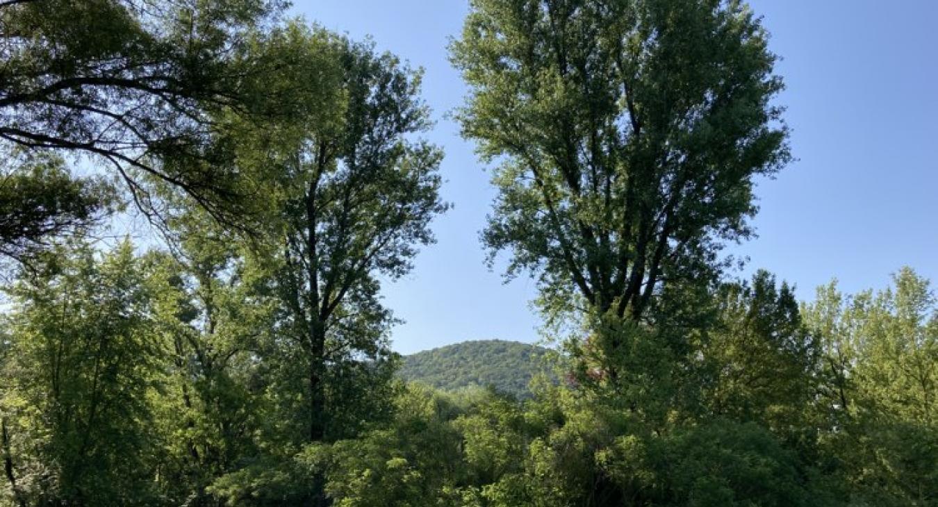 Kezdődik az igazi nyár, egy-egy záporral