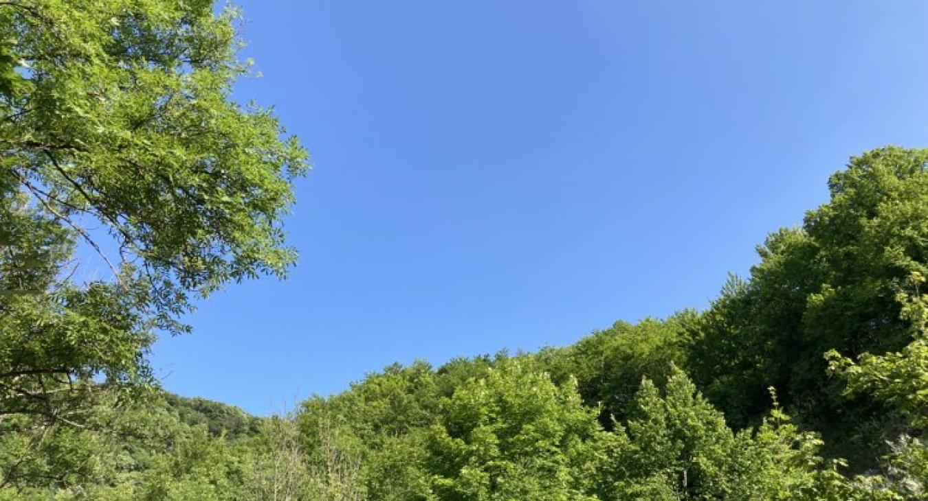 Szó szerint berobban a nyár