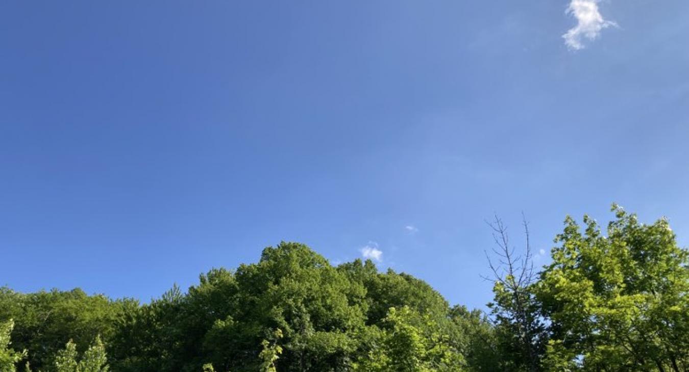 Fokozódik a kánikula