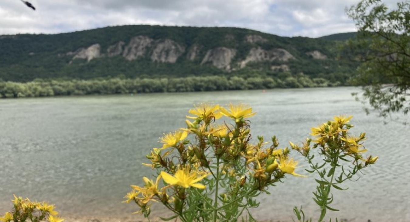 Egy ideig nem tér vissza a kánikula, de kellemes nyári idő lesz