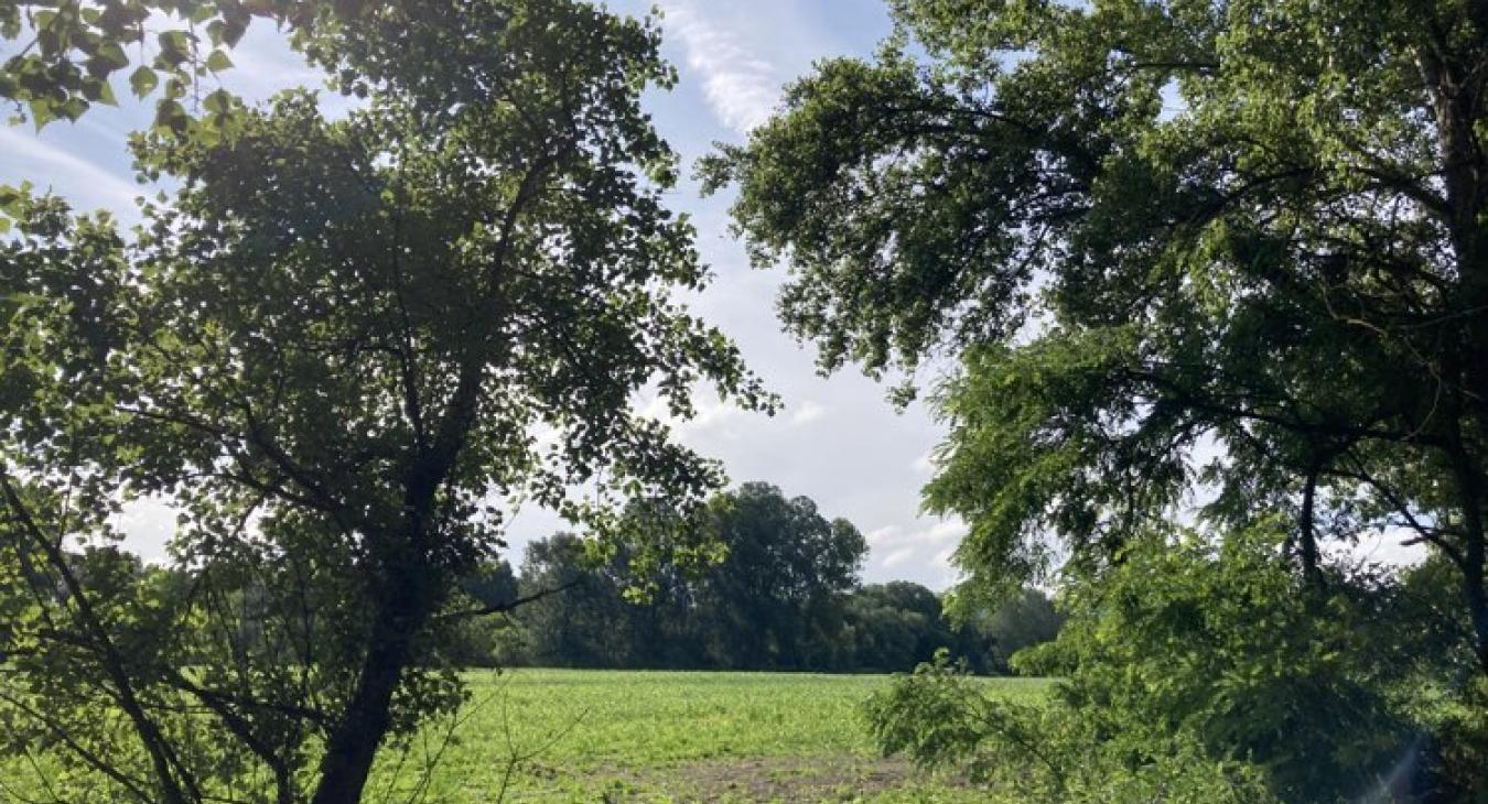 Napsütéssel indul a hjét