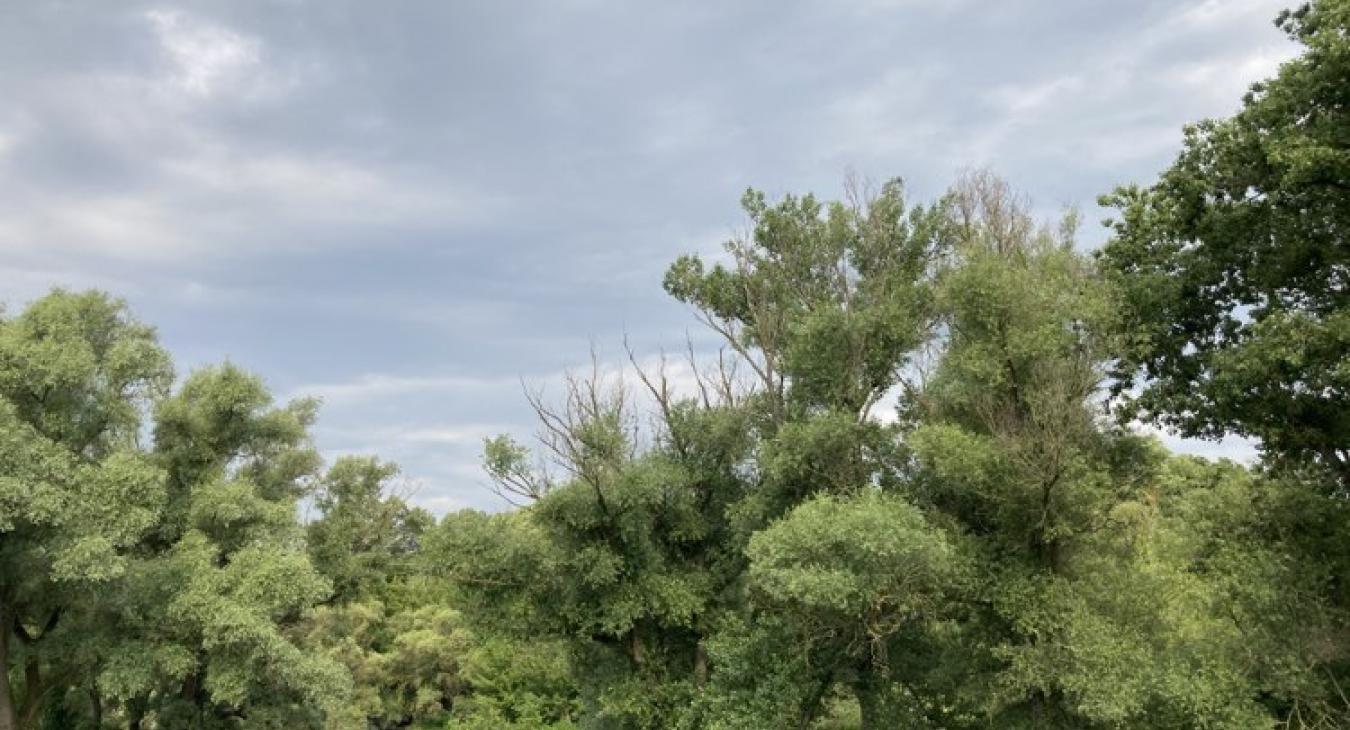 Felhősen, esővel, záporokkal indul a nap, majd kisüt a nap