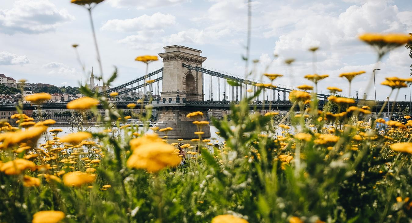Első Budapesti Lakógyűlés: 136 ezer töltötte ki a konzultációt