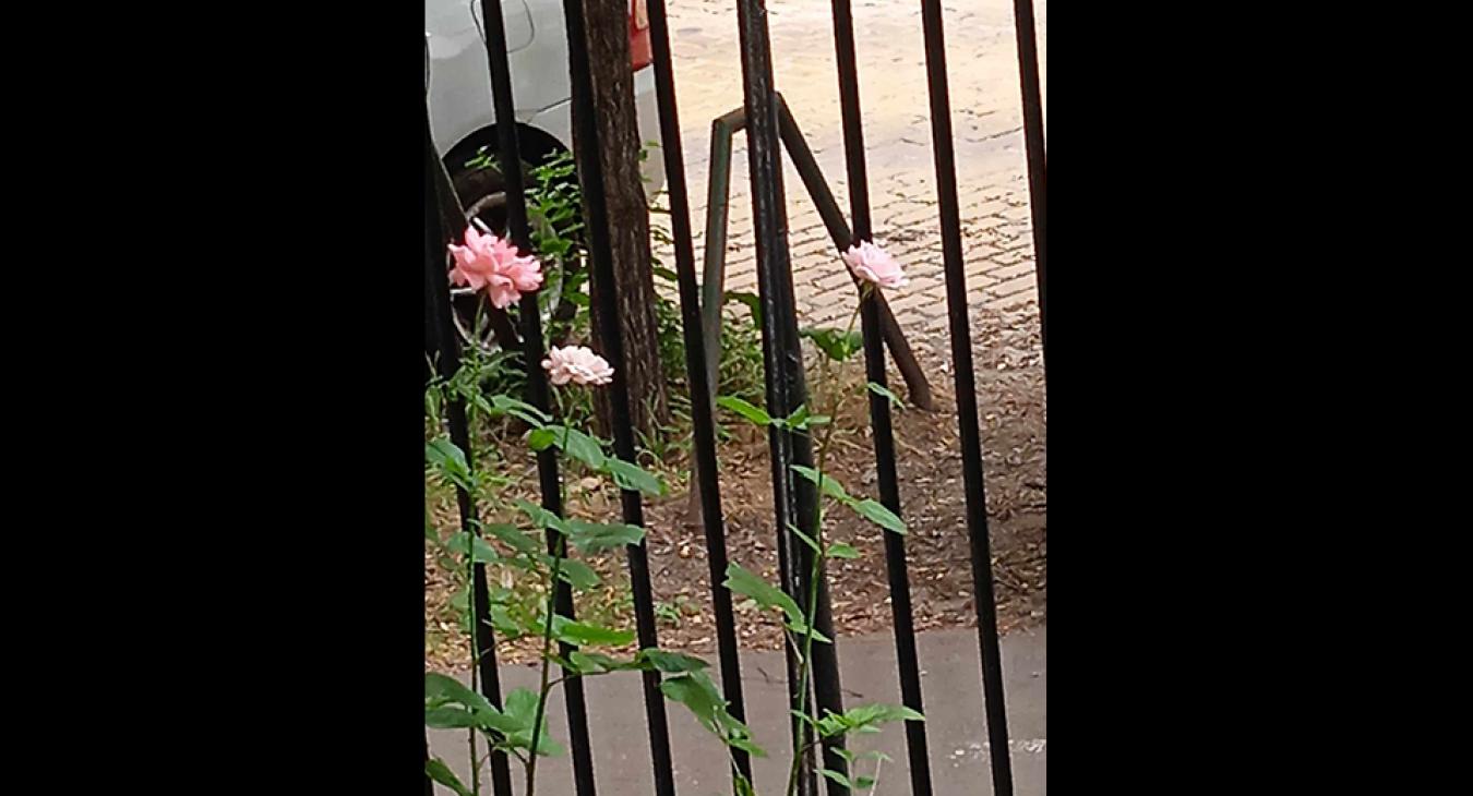 Milyen autó van a képen?