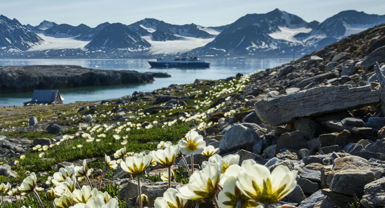 Már túl késő megmenteni az Északi-sarkvidéket