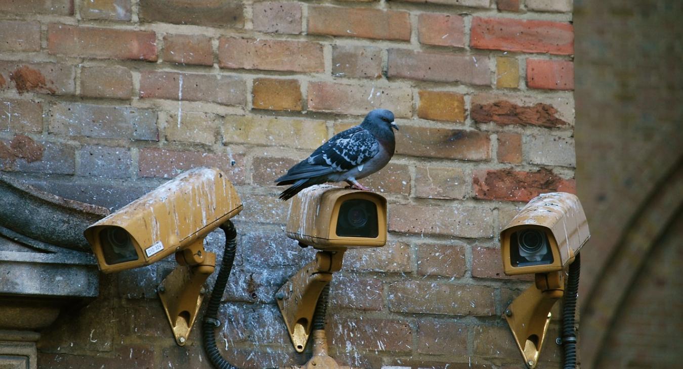 50%-kal nőtt a titkosszolgálati megfigyelések száma 