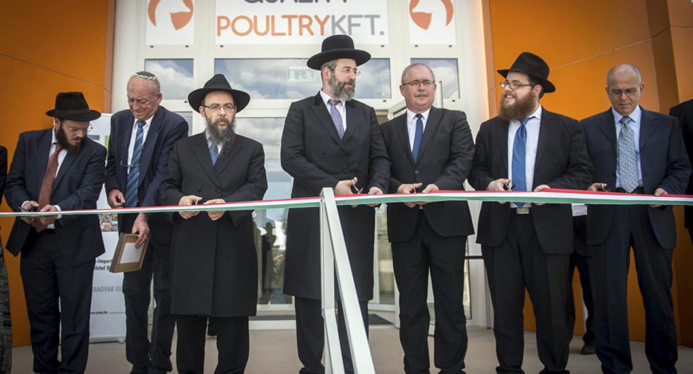 Százmilliókat kapott Köves Slomóék kóser vágóhídja, mégis hónapok óta zárva van