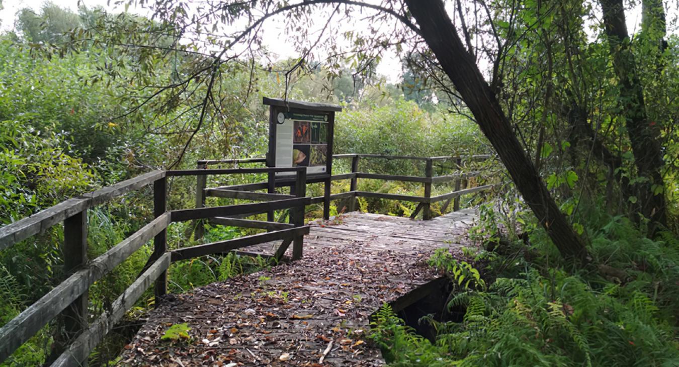 Beleállt a rohadás a több százezer euróból épített tanösvénybe a Hajdúságban