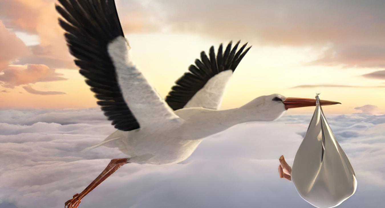 Érthetetlen kormánydöntés született