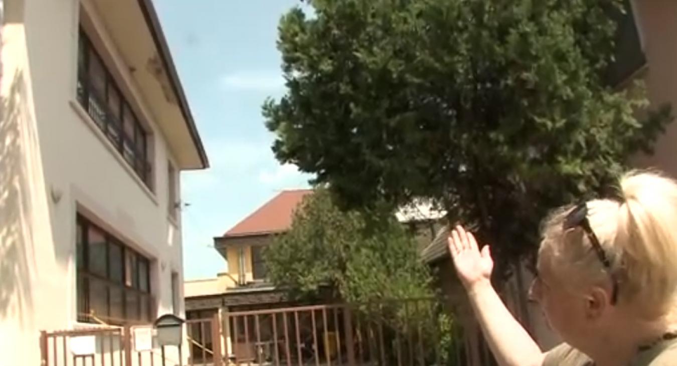 Gyömrői iskola: a terem beázik, a víz a vezetékek mellett folyik a plafonon