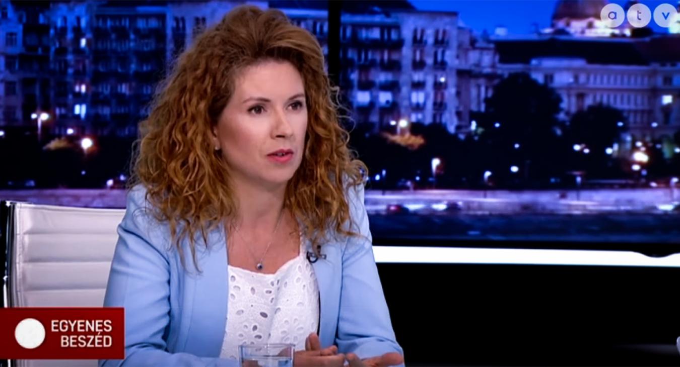 Tüttő Kata: nonszensz, hogy féláron kell adni a vizet Tiborcz szállodáinak és az akkugyáraknak