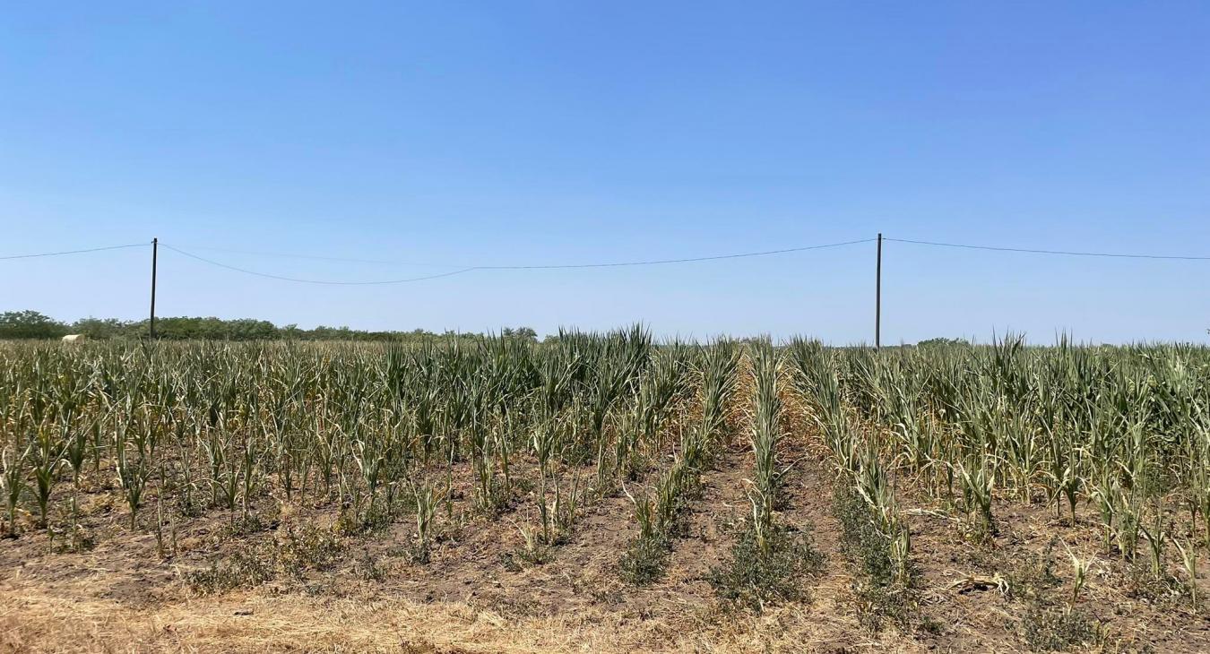 Magyarország búcsút mondhat a vizeinek?