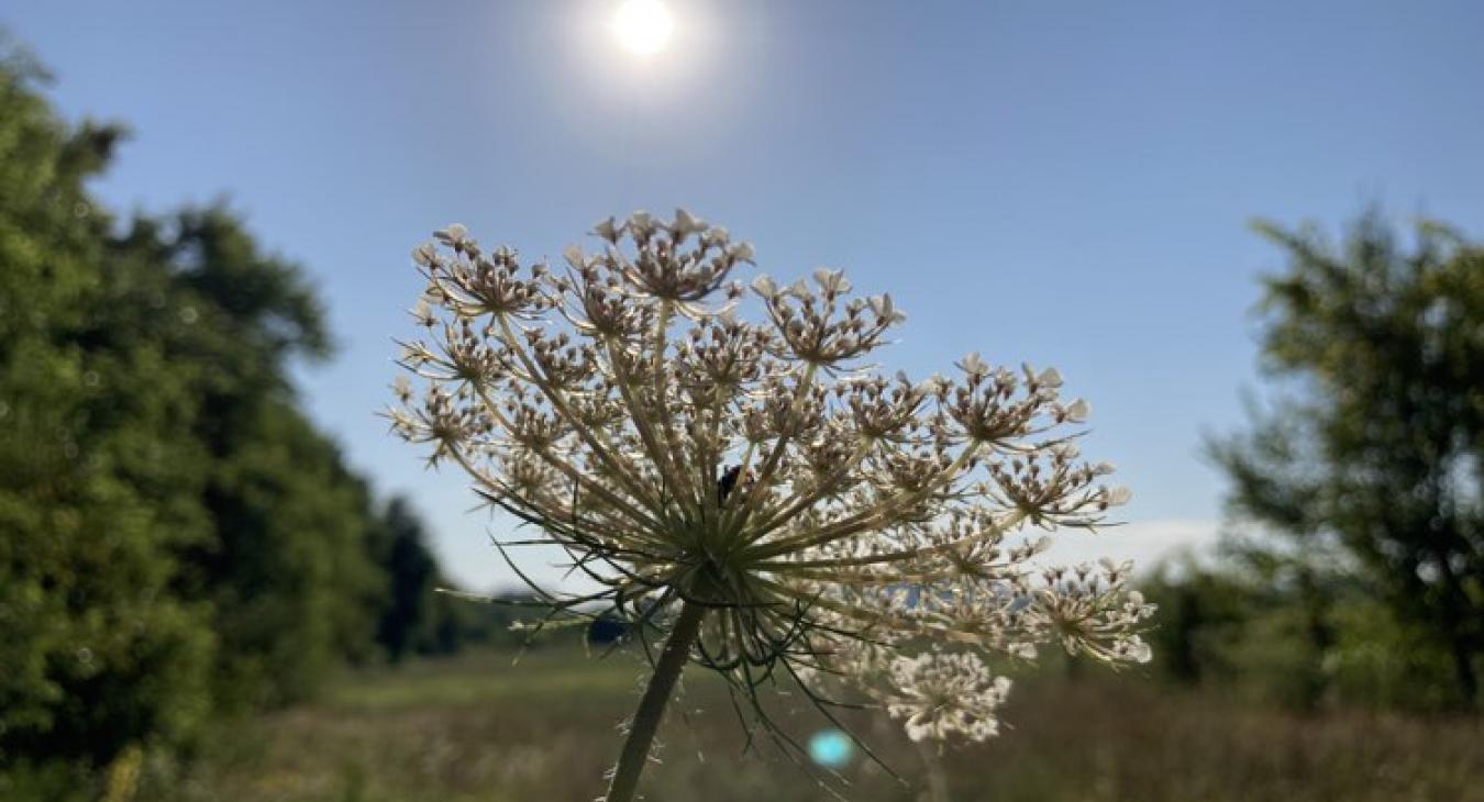 Forró lesz a hétfő