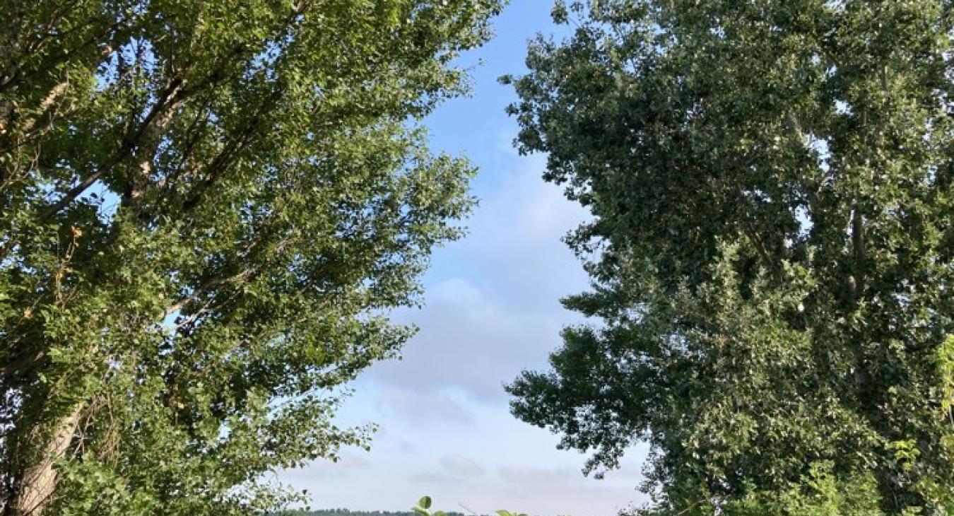 Akár 37 fok is lehet!