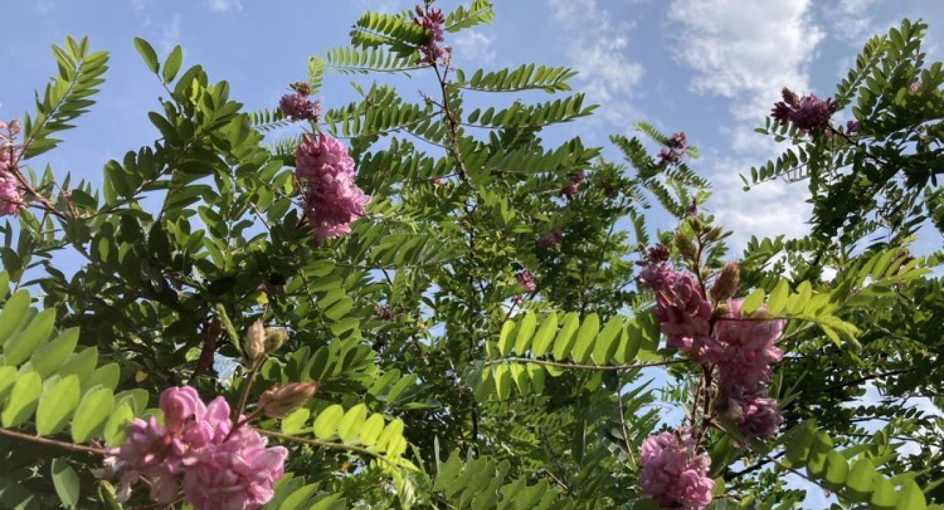 Újra 30 fok körül