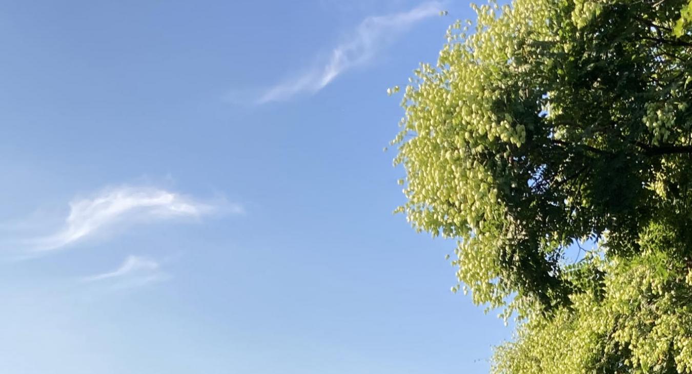 Sok napsütés, nyári idő