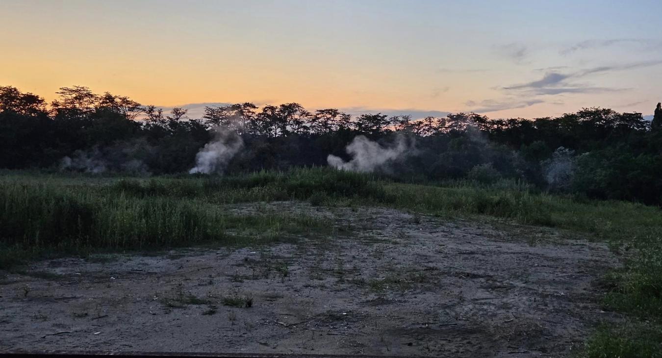 Nagyon büdös van a Balatonnál