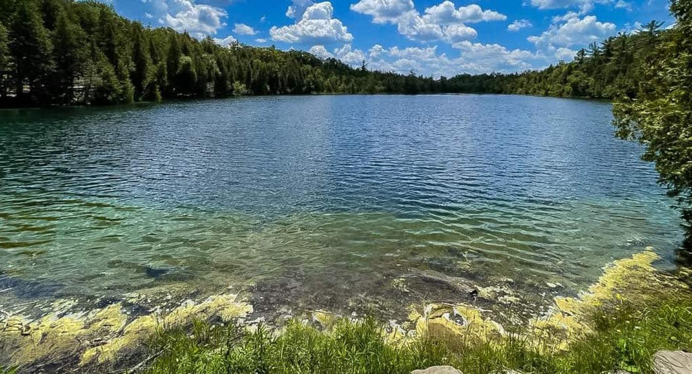 Az ötvenes években kezdődött a földtörténet új geológiai korszaka egy tudóscsoport szerint