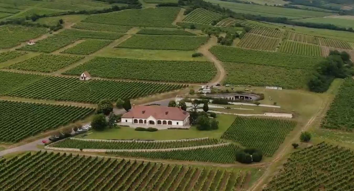 Orbán Ráhel sárazsadányi szőlői és Tiborcz István tokaji borháza