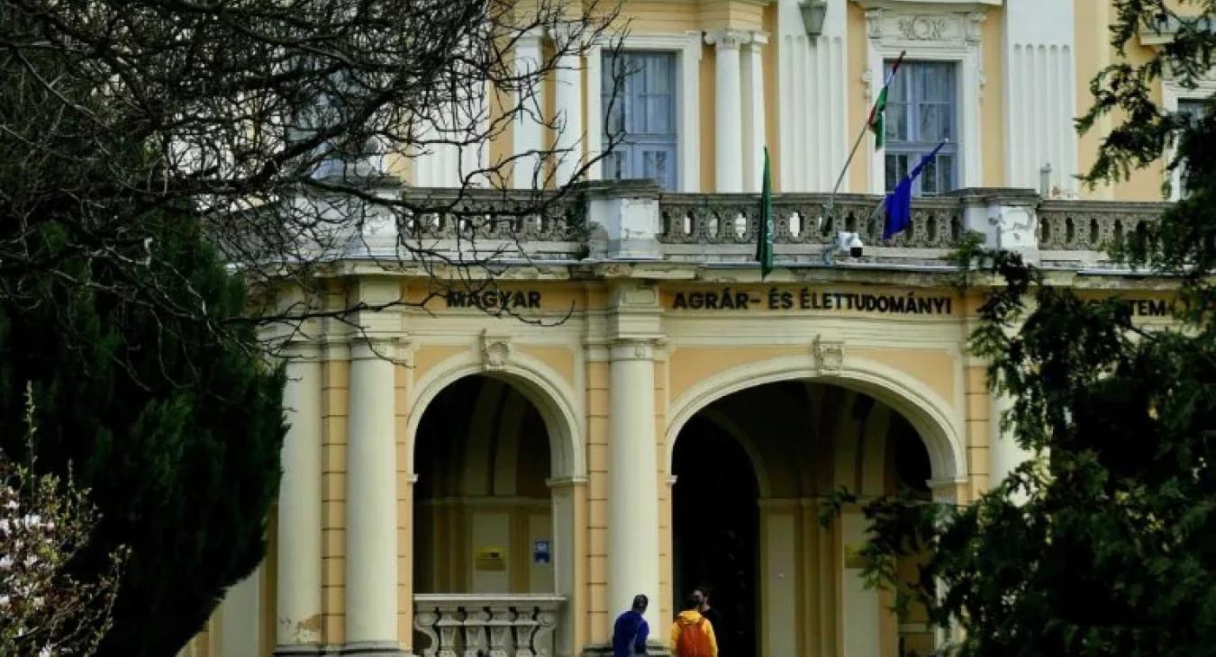 Két magyar egyetemet is lehúztak az Erasmus+ támogatási listáról