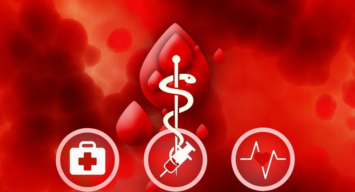 Augusztus havi véradások