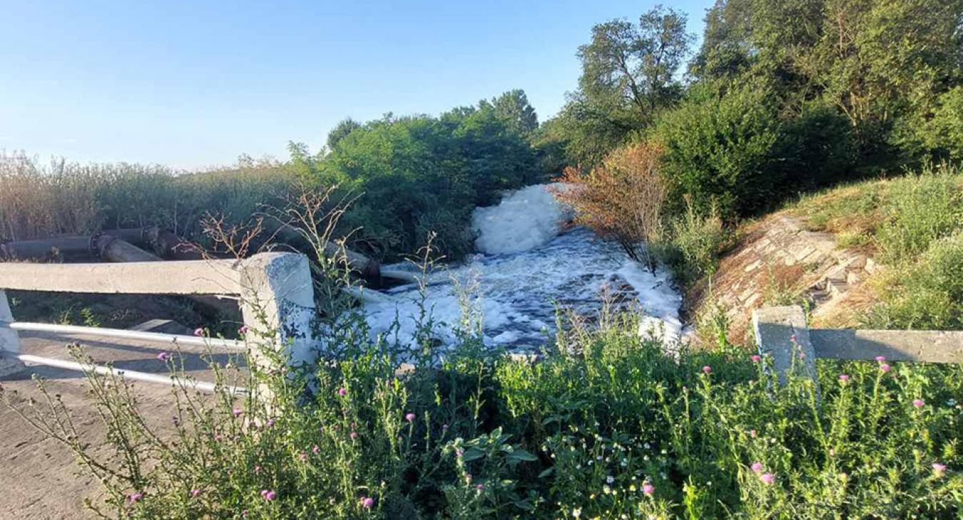 Ökológiai katasztrófa fenyeget a hódtói csatornában