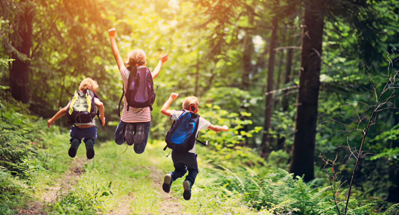 5 túraútvonal, aminek gyerekkel is bátran nekivághatunk