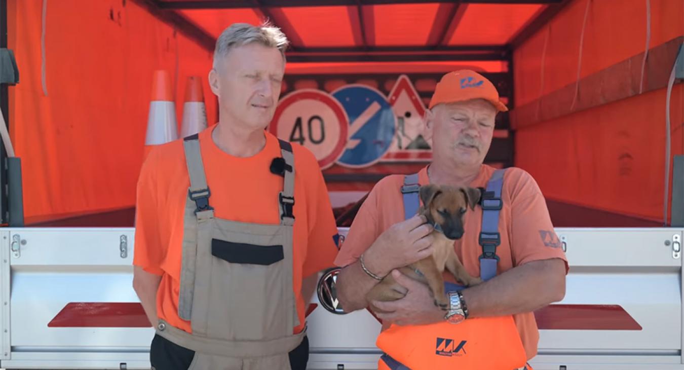 Újabb kutyust mentettek és fogadtak be a közutasok