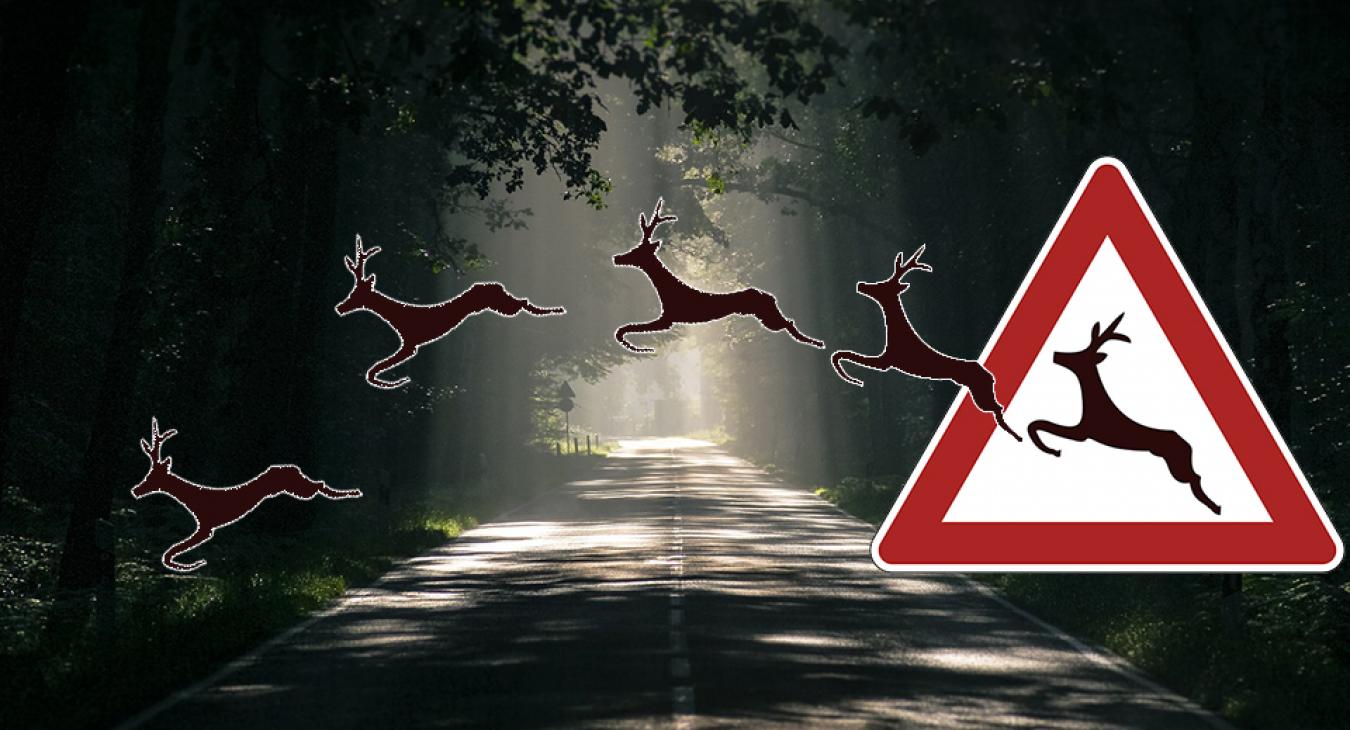 Nagyon russzul járhatnak a magyar autósok egy szabályváltozás miatt