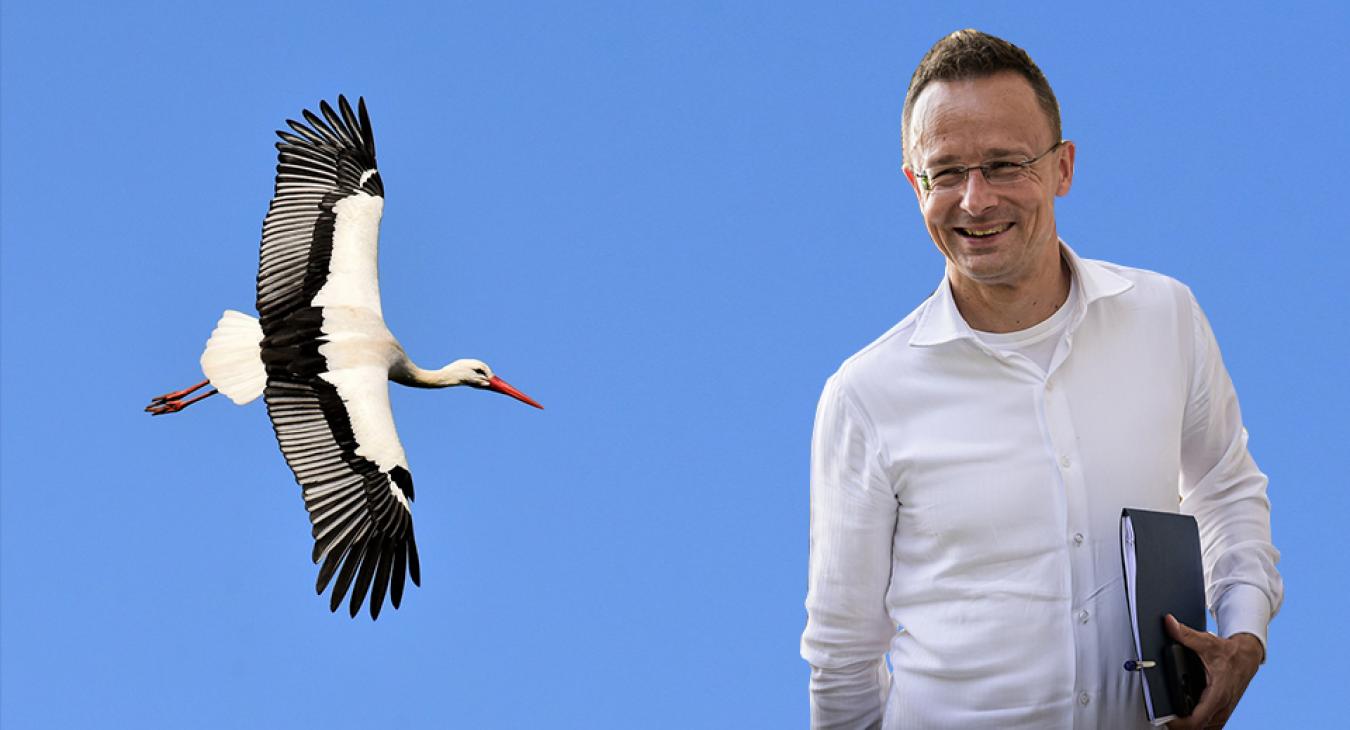 Szijjártó Péter gólyás posztja kissé félrement