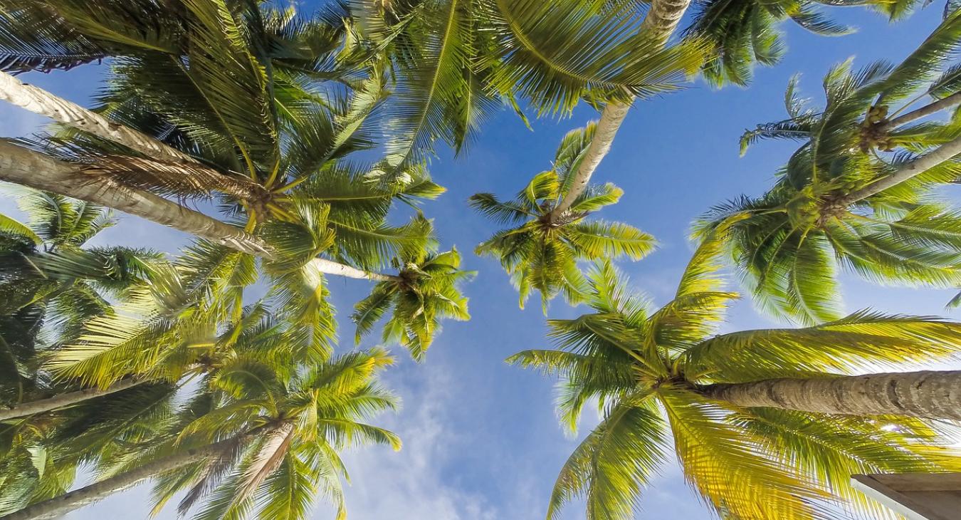 Felfoghatatlan nagyságú vagyonokat vihettek ki Magyarországról 