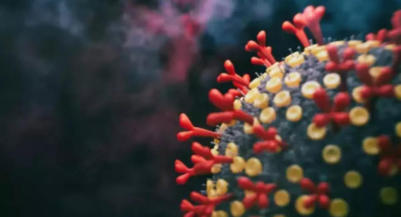 A legújabb koronavírus-variáns hatékonyan cselezi ki az immunválaszt 