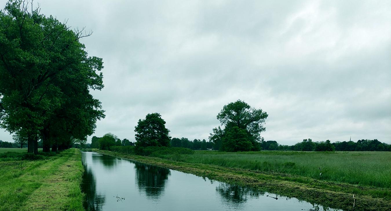 Rekordközeli árhullámokra is számítanak a következő napokban