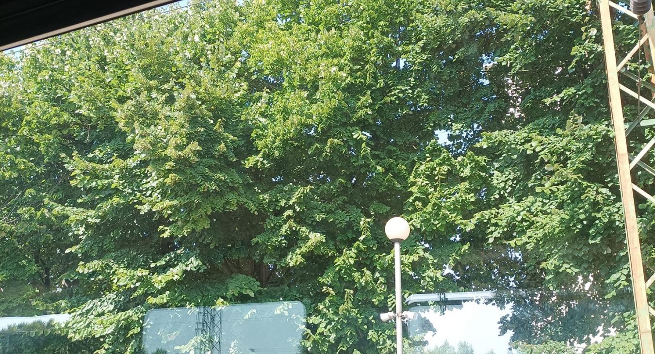 A múlt héten az indiaiak leszálltak a Hold túlsó oldalán