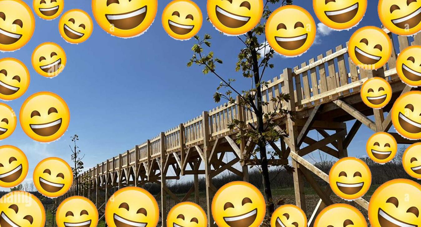 Lehet, hogy hamis a lombnélküli lombkoronasétányt kinevető nőt bepanaszoló levél