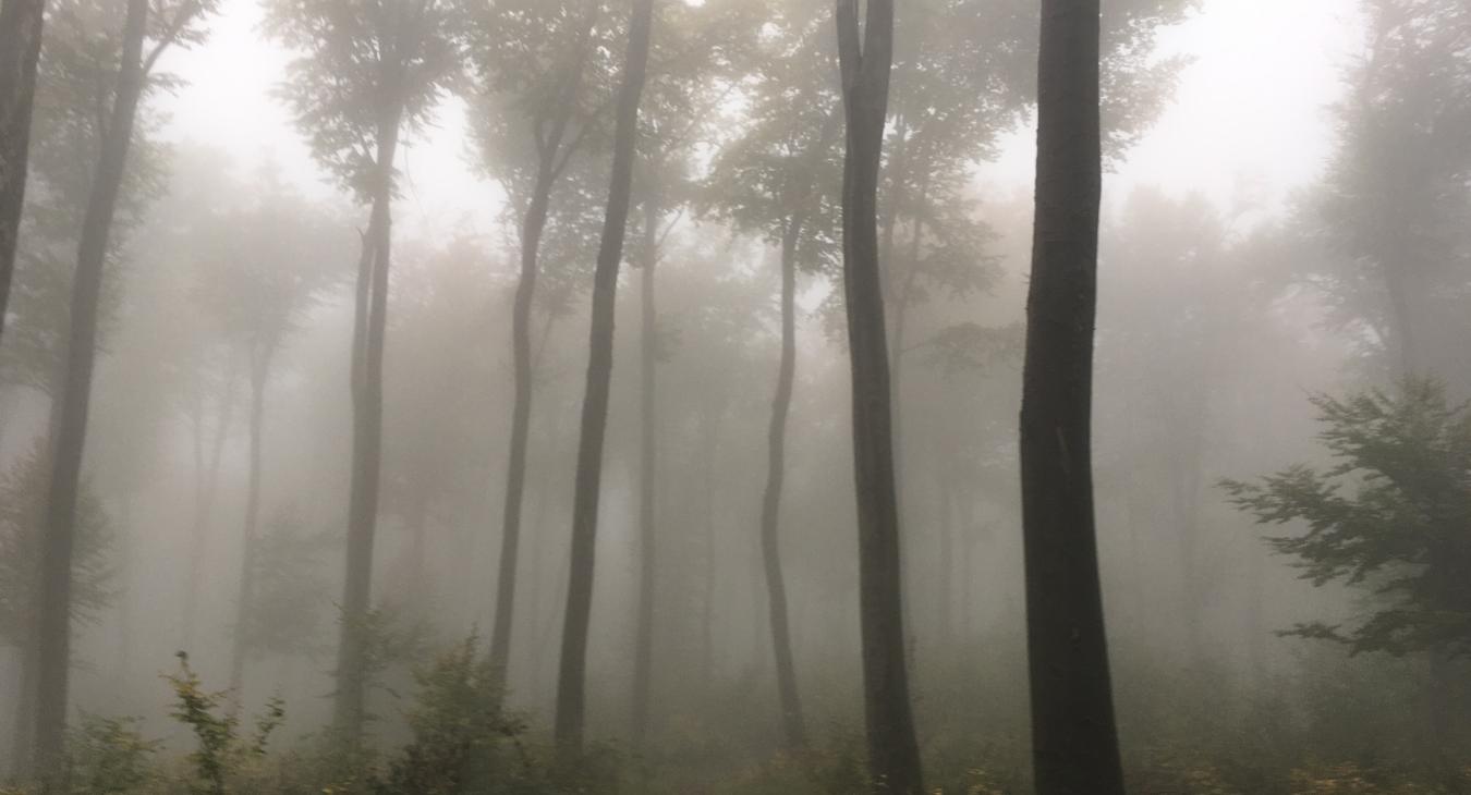Akkora eső esett a hétvégén, hogy mától újra lehet tüzet gyújtani
