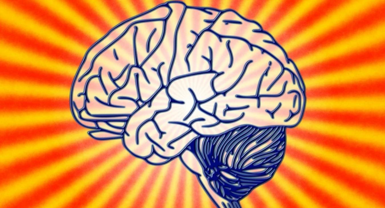 Tényleg csak az agyunk 10%-át használjuk? 