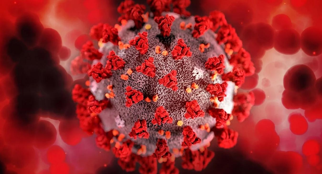 Jakab Ferenc a koronavírus új variánsáról: "Keveset lehet még tudni róla, de aggodalomra nem ad okot"