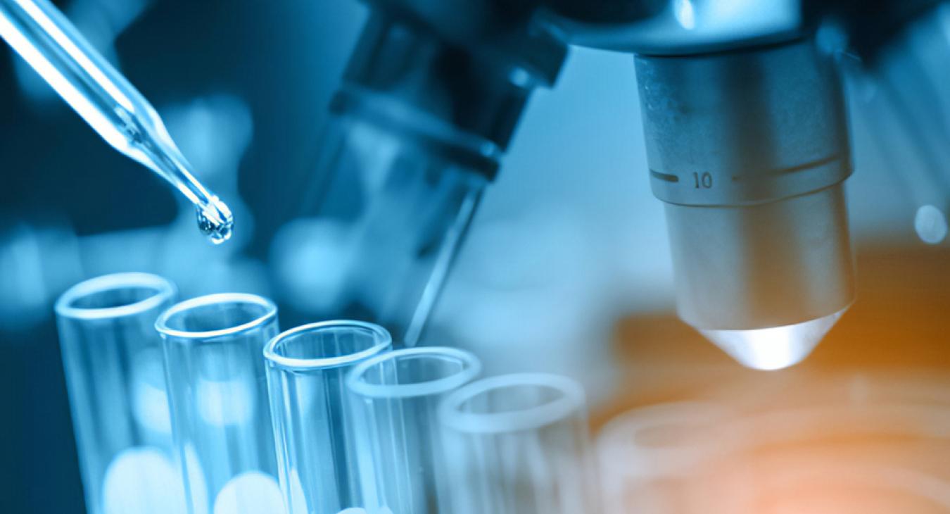 Forradalmi áttörést értek el az "örök fiatalság" kutatásában